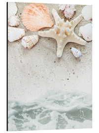 Aluminiumsbilde  Sea Beach with starfish