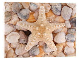 Akrylbilde  Starfish on cockleshells