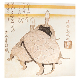 Akrylbilde  Turtles - Katsushika Hokusai