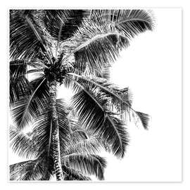 Plakat  Høye palmer på en tropisk strand