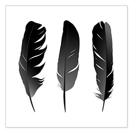 Plakat  Three feathers