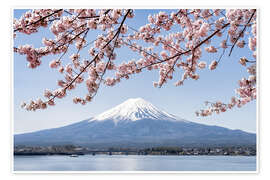 Plakat Mountain Fuji and cherry blossom at lake Kawaguchiko, Japan