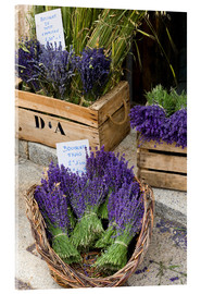 Akrylbilde  Baskets with lavender bouquets - Brenda Tharp