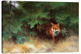 Lerretsbilde  Fox Hiding Under Spruce - Bruno Andreas Liljefors
